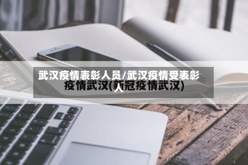 武汉疫情表彰人员/武汉疫情受表彰人