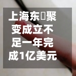 上海东昇聚变成立不足一年完成1亿美元A轮融资，工银资本、东方证券等集体押注 | 长三角资本局