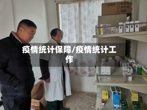 疫情统计保障/疫情统计工作