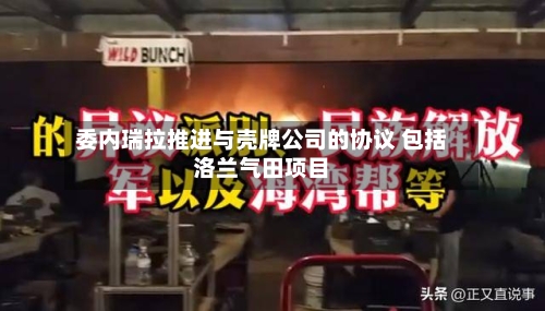 委内瑞拉推进与壳牌公司的协议 包括洛兰气田项目