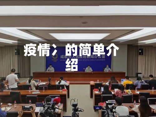 疫情冫的简单介绍