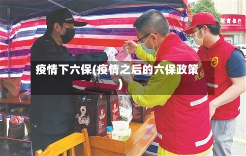 疫情下六保(疫情之后的六保政策)