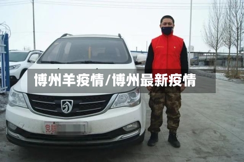 博州羊疫情/博州最新疫情