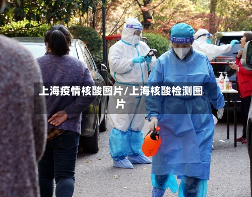 上海疫情核酸图片/上海核酸检测图片