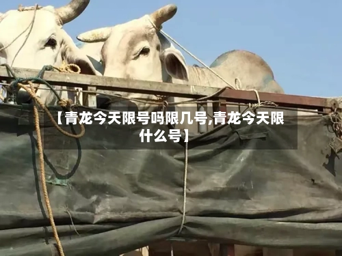【青龙今天限号吗限几号,青龙今天限什么号】