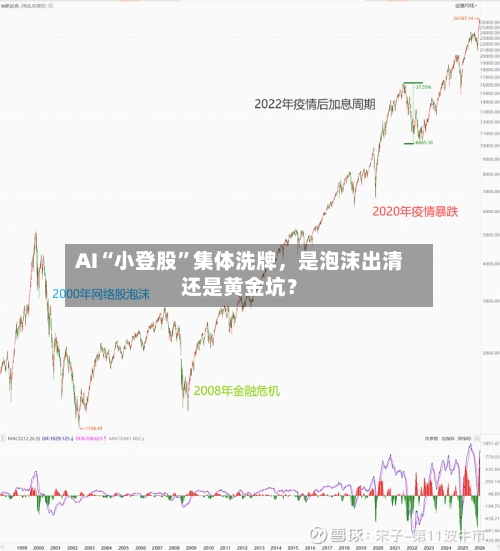 AI“小登股”集体洗牌,是泡沫出清还是黄金坑?
