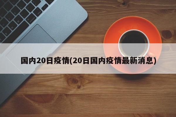 国内20日疫情(20日国内疫情最新消息)
